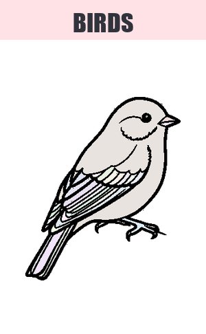 Thumb: Birds Coloring Pages
