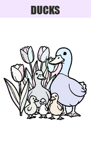 Thumb: Ducks Coloring Pages