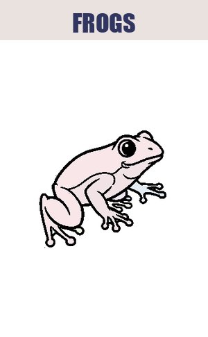 Thumb: Frogs Coloring Pages