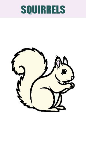 Thumb: Squirrels Coloring Pages