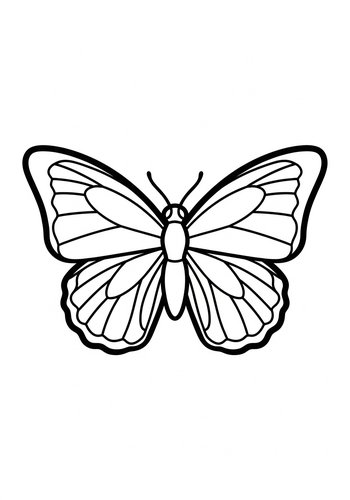 Butterfly Beauty: An Intricate Coloring Page
