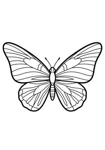 Butterfly Coloring Page: A Symphony Of Colors