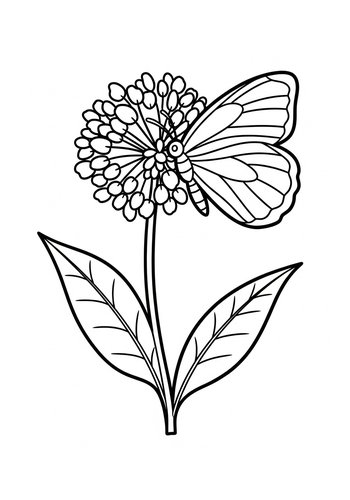 Butterfly On Flower Coloring Page For Kids