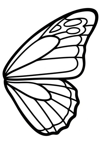 Butterfly Wing Coloring Page: A Creative Design