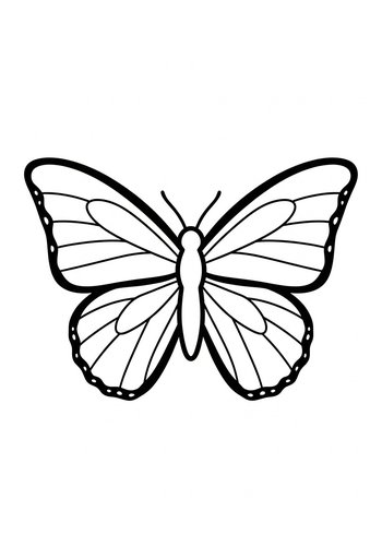 Butterfly Wings Coloring Page For Kids
