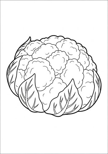 Cauliflower Coloring Page For Budding Artists