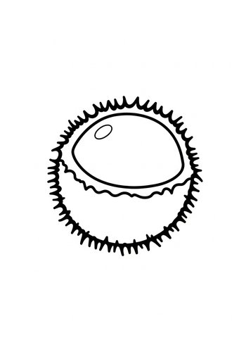 Cute Durian Coloring Page For Kids