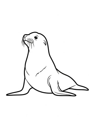 Cute Sea Lion Coloring Page