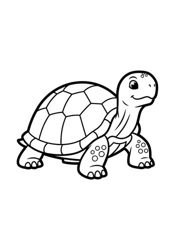 Cute Turtle Coloring Page For Kids