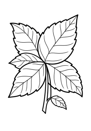 Delicate Leaves Coloring Page For Nature Lovers