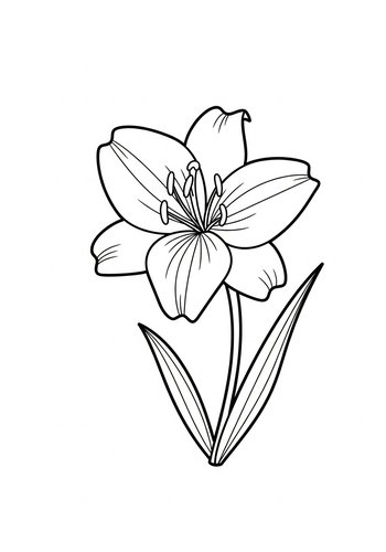 Delicate Lily Coloring Page For Kids