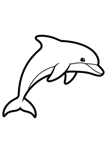 Dolphin Coloring Page - Ocean Fun