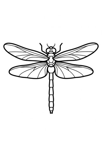 Dragonfly Delight Coloring Page