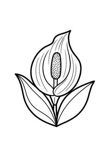 Elegant Arum Lily Coloring Page