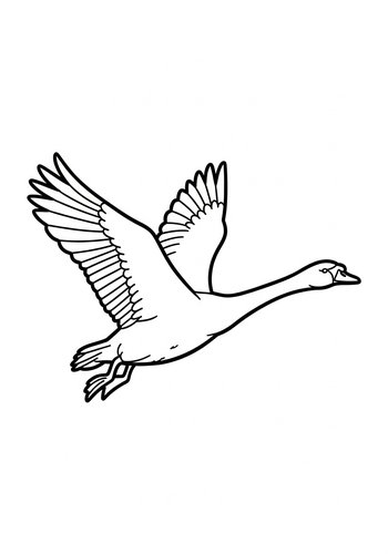 Flying Swan Coloring Page: A Majestic Bird's Flight