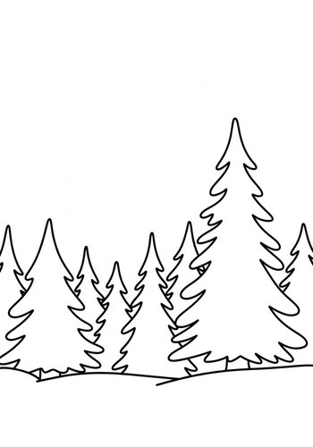 Forest Trees Coloring Adventure