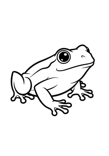 Frog Fun: A Coloring Page Adventure