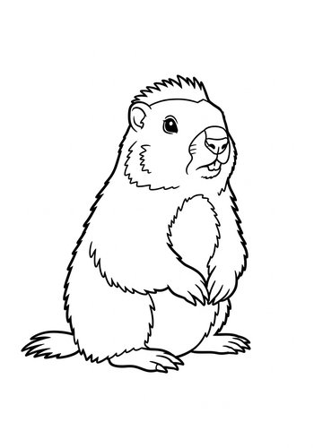 Groundhog Day Coloring Page Fun