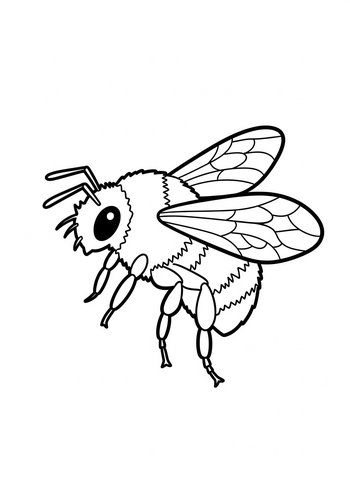 Honey Bee Coloring Page - Buzz Into Fun