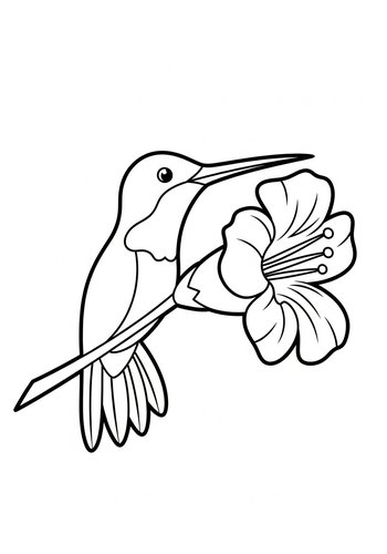 Hummingbird And Flower Coloring Page For Kids