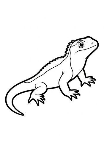 Iguana Coloring Page: Scaly Friend Fun