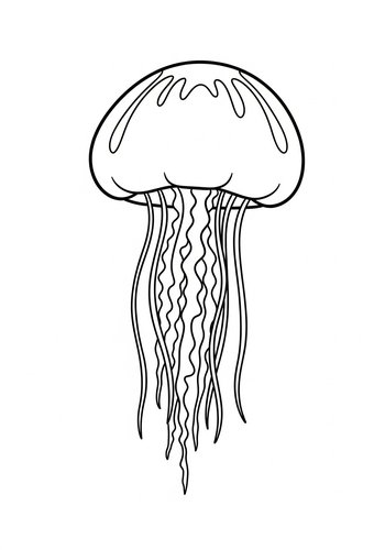 Jellyfish Coloring Page - Aquatic Fun