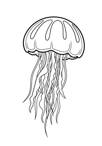 Jellyfish Coloring Page: Deep Sea Adventure