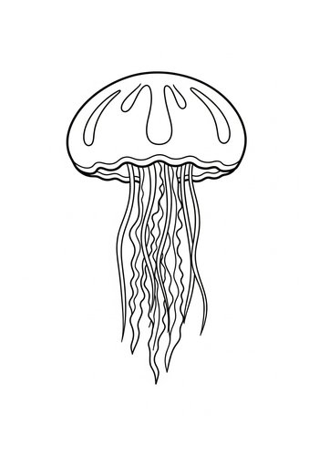 Jellyfish Coloring Page: Dive Into Creativity