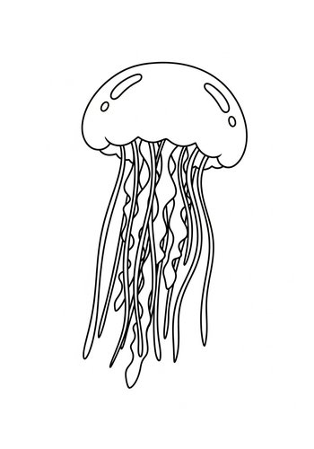 Jellyfish Coloring Page: Dive Into Marine Life