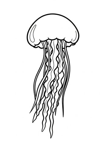Jellyfish Coloring Page For Kids And Adults