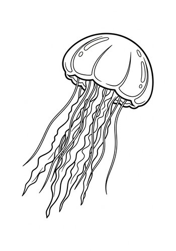 Jellyfish Coloring Page For Ocean Lovers