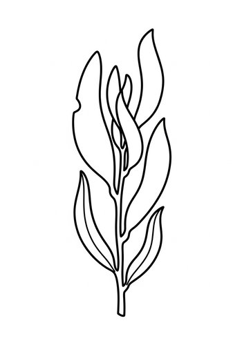 Kelp Coloring Page: Dive Into Ocean Art