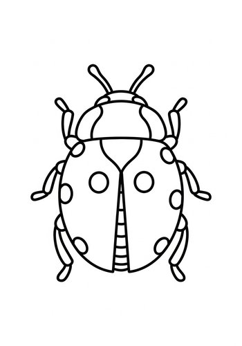 Ladybug Coloring Adventure