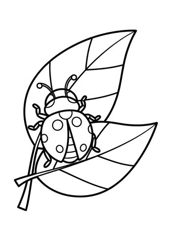 Ladybug On A Leaf Coloring Page