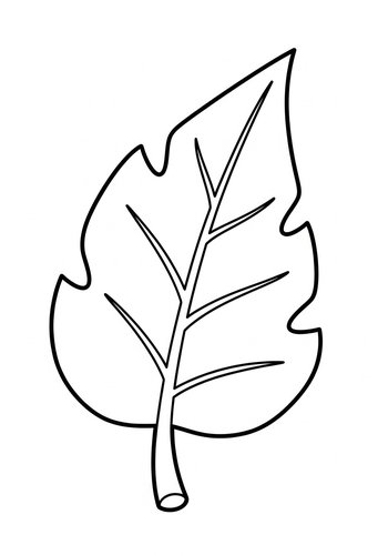 Leaf Coloring Page - Botanical Art Therapy