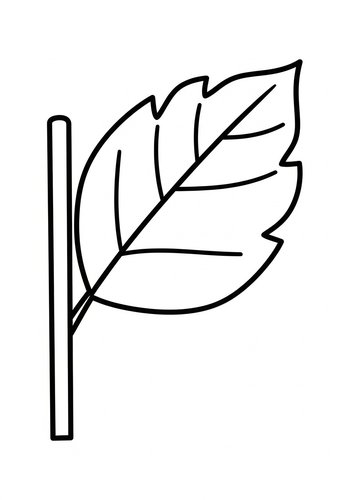 Leaf Outline - Printable Coloring Page