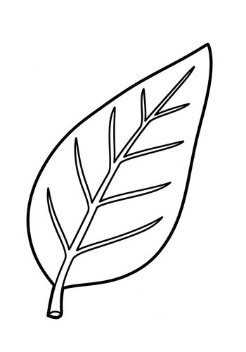 Leaf Outline Coloring Page For Kids