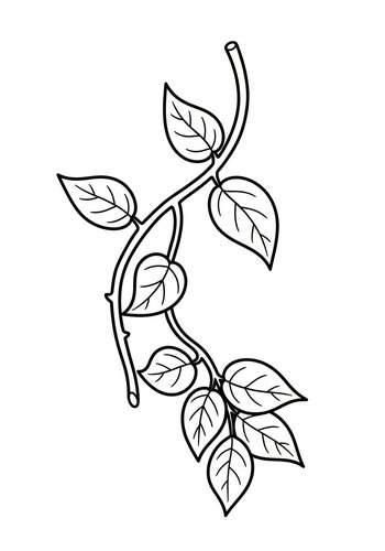 Leafy Branch Coloring Page