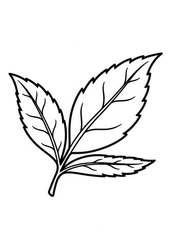 Leafy Delight: Nature's Palette Coloring Page