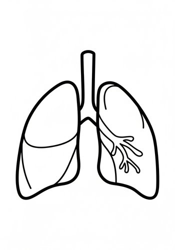 Lungs Coloring Page - Anatomy Art For Kids