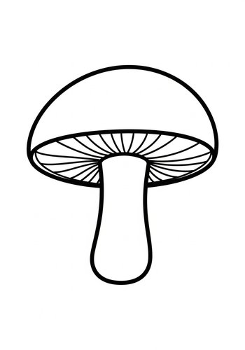 Mushroom Magic: A Coloring Page Adventure