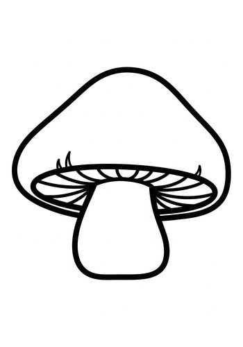 Mushroom Magic: A Coloring Page Adventure