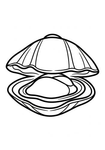 Open Clam Shell Coloring Page