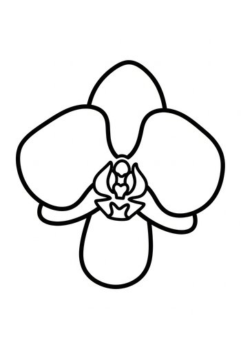 Orchid Flower Coloring Page For Relaxation