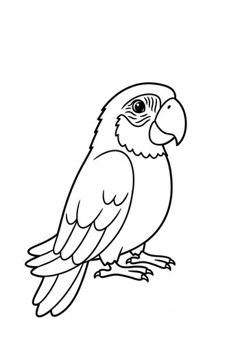 Parrot Coloring Page: A Tropical Bird Adventure