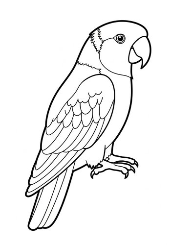 Parrot Coloring Page: Wings Of Imagination