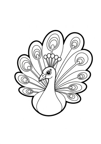 Peacock Coloring Page - Majestic Bird Illustration