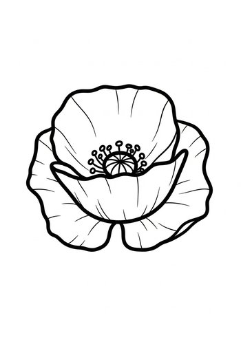 Poppy Coloring Page - Floral Fun