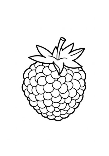 Raspberry Coloring Page For Kids