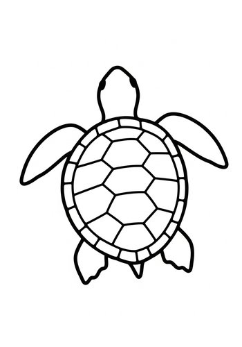 Sea Turtle Coloring Page: Aquatic Adventure